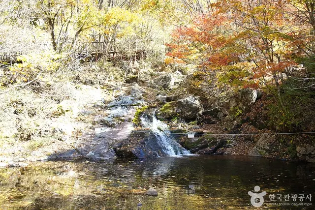 국립 복주산자연휴양림 사진