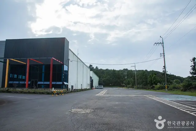 제주 스카이워터쇼 사진