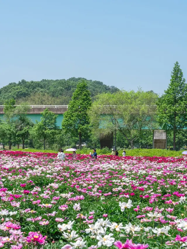 핫들생태공원 사진