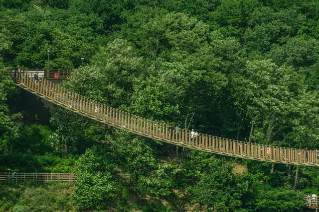 마장호수 출렁다리 사진