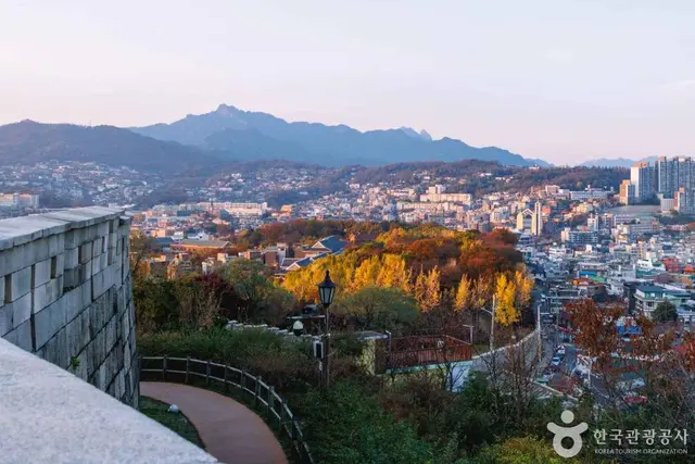 마로니에공원 사진