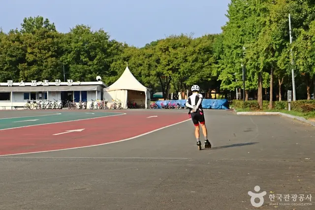 두류공원 인라인스케이트장 사진