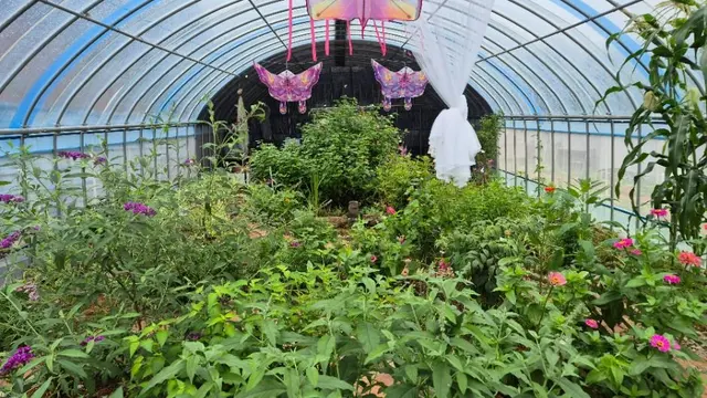 순천곤충박물관 사진