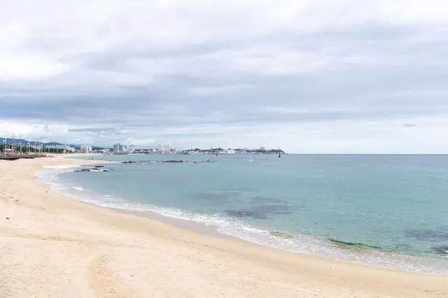 영진해변 사진