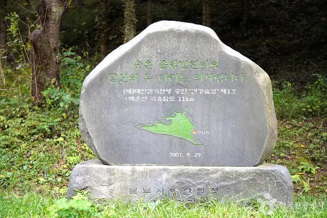 국립 백운산자연휴양림(원주) 사진