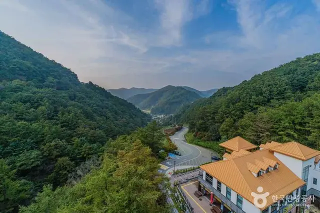 좌구산 자연휴양림 사진