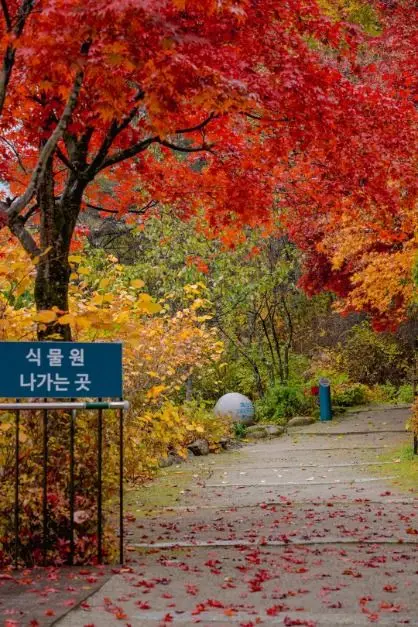 국립한국자생식물원 사진