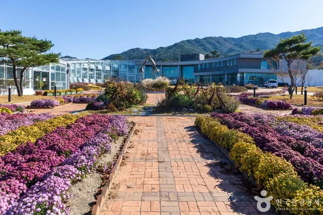 지리산 허브밸리 사진