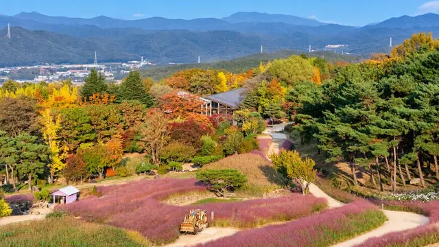 가산수피아 사진