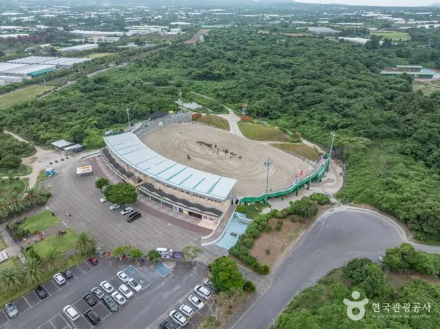 더마파크 사진