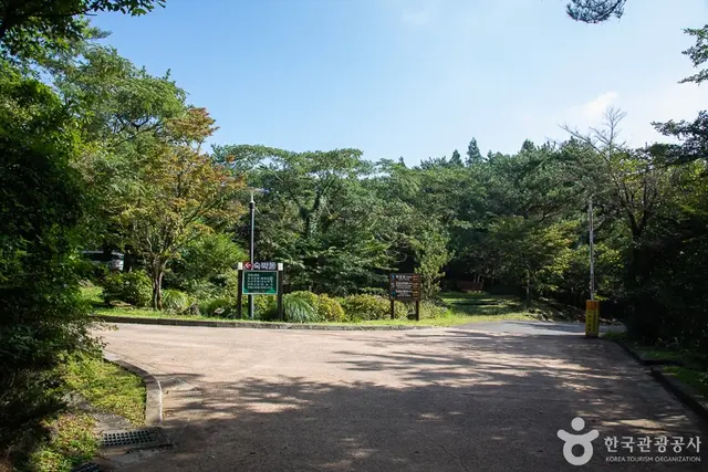 서귀포자연휴양림 사진