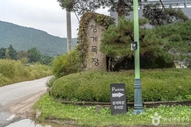 용인 청계목장 사진