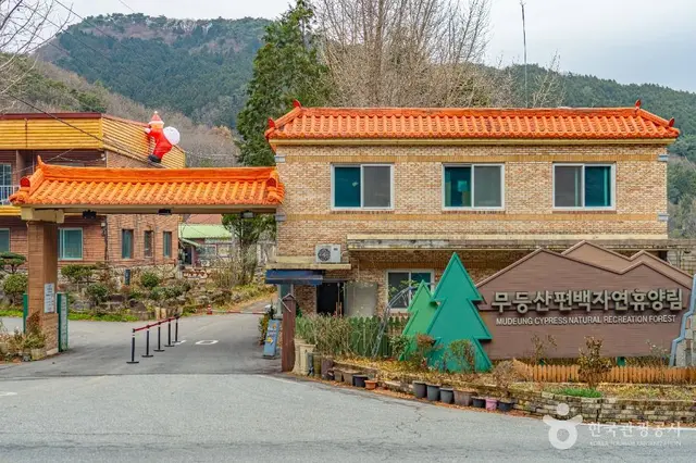 무등산편백자연휴양림 사진
