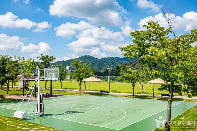 칠곡보 생태공원 사진