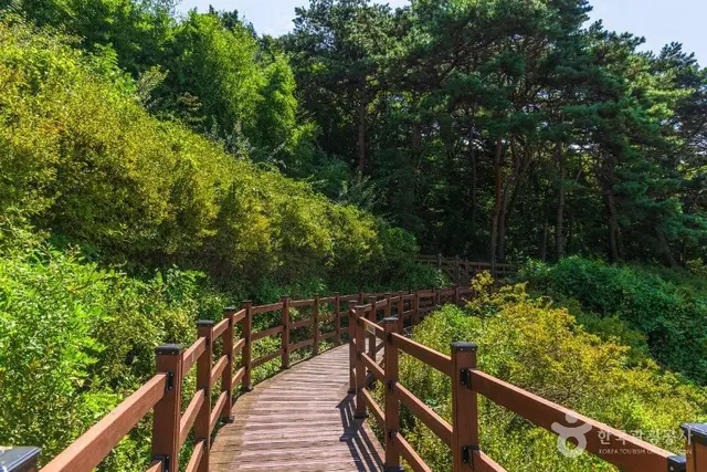당진농업테마파크 사진