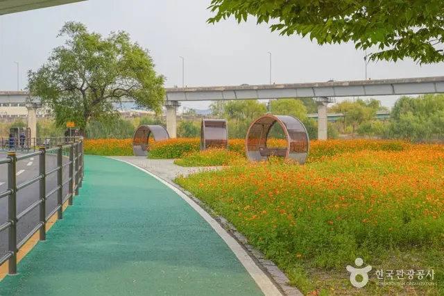 살곶이체육공원 사진