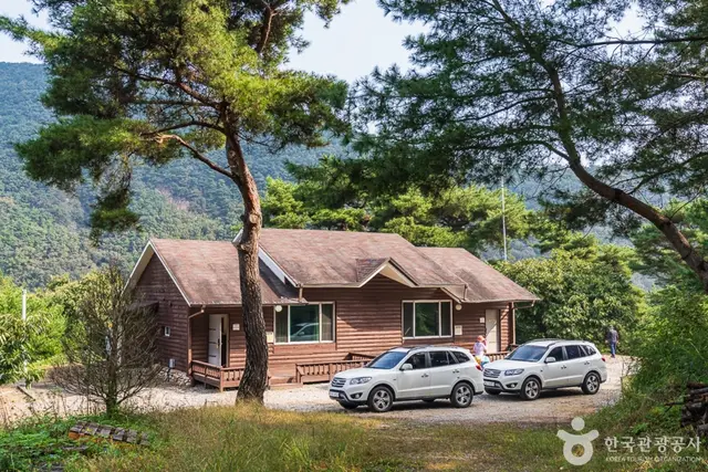 봉황자연휴양림 사진