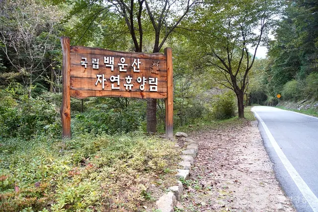 국립 백운산자연휴양림(원주) 사진