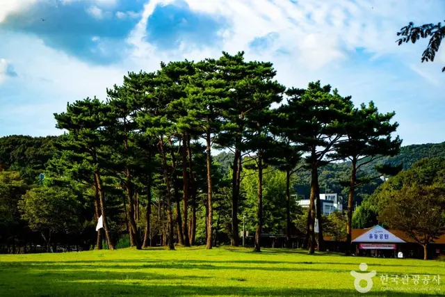 율동공원 사진