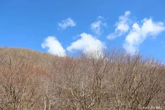 국립 회문산자연휴양림 사진