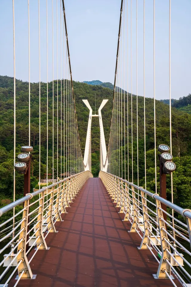 대황강출렁다리 사진