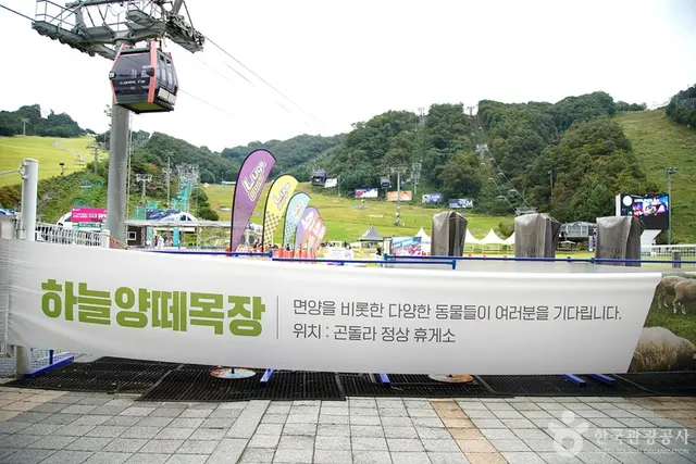 대명 비발디파크 스노위랜드 사진