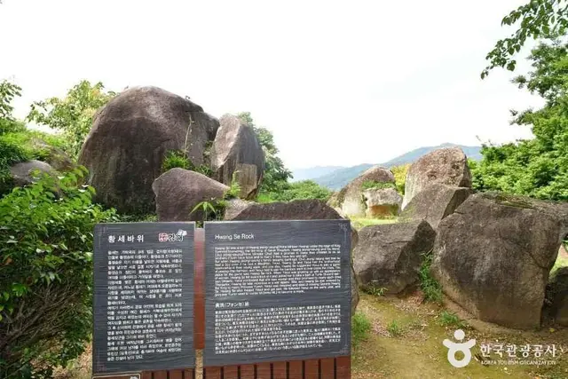 봉황대공원 사진