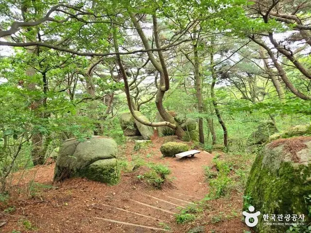 금강공원 사진