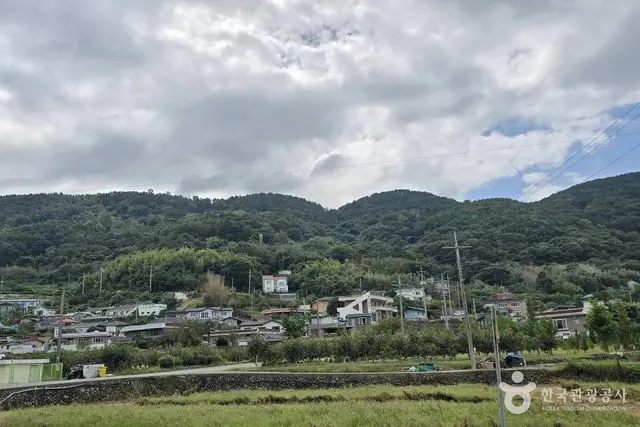 왕지등대마을 사진