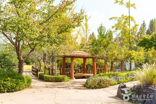 푸른수목원 사진