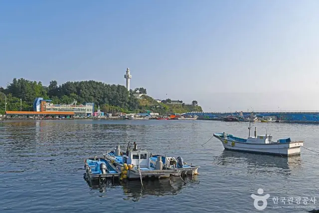 대진항 사진