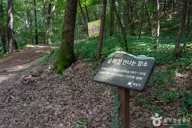 서봉산산림욕장 사진