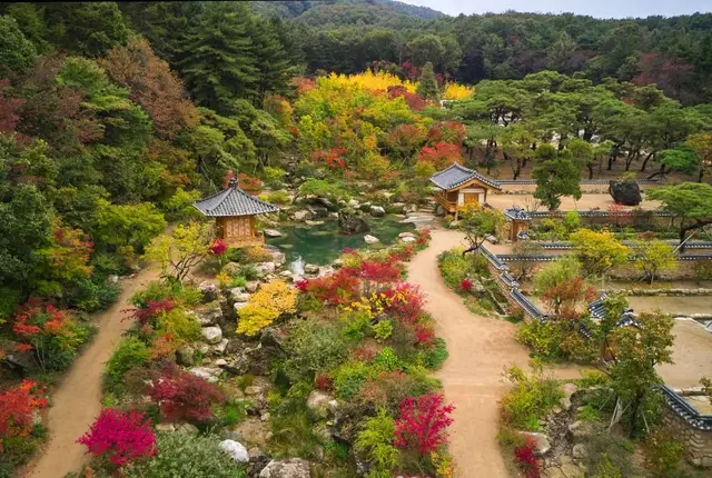 메덩골정원 사진