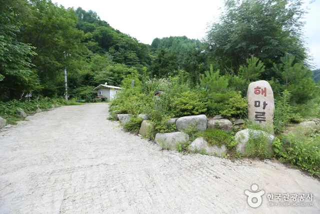 진동너와촌 해마루펜션 사진