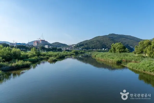 리프패럿 청석공원점 사진