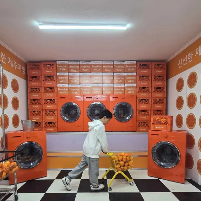 제주홀릭뮤지엄 사진