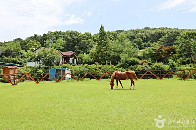 대파니힐링팜 사진