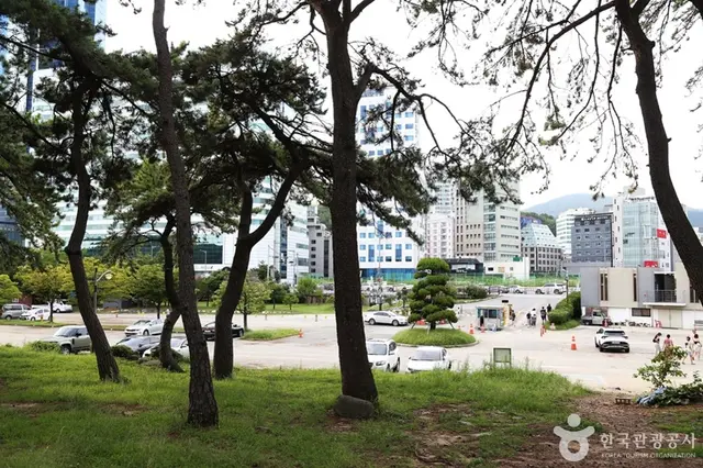 송림공원 사진