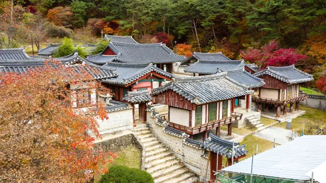 도산서원 사진