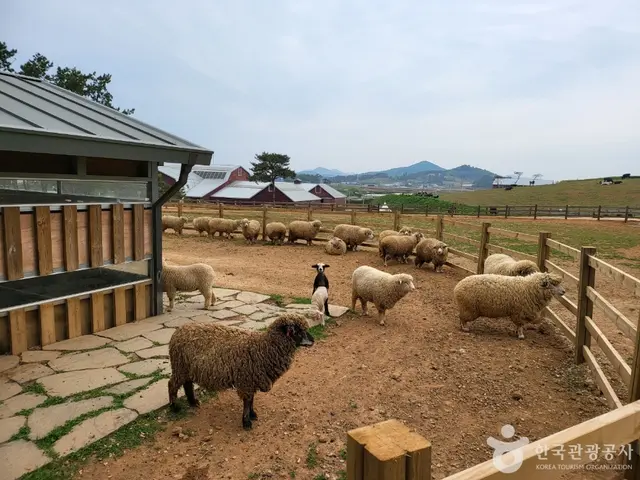 상하농원 파머스빌리지 사진