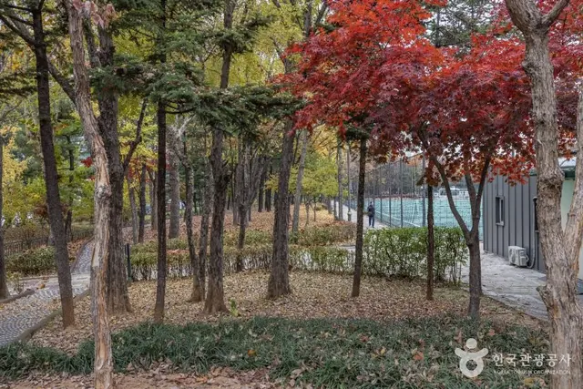 독산 근린공원 사진