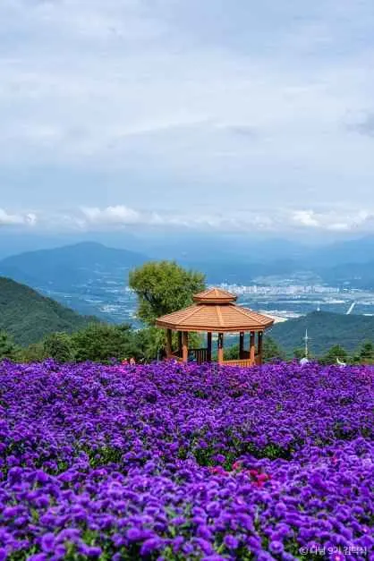 거창별바람언덕 사진