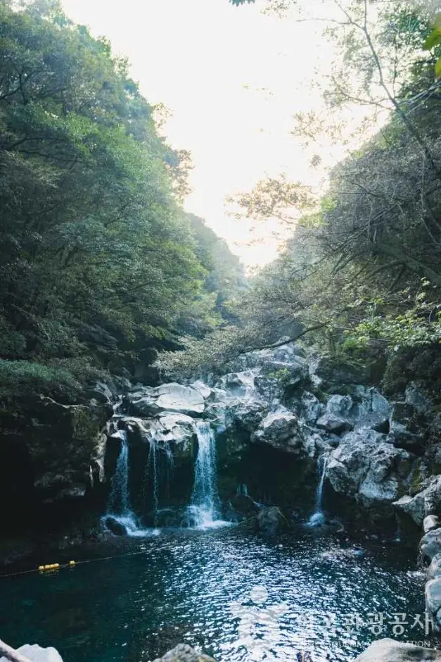돈내코유원지 사진