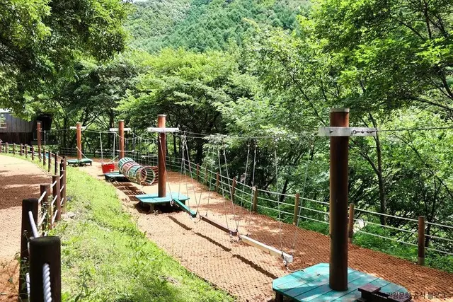 광치자연휴양림 사진