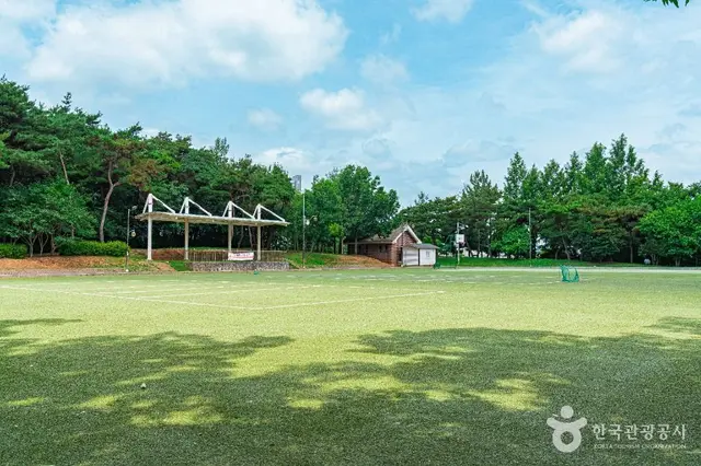 경암근린공원 유아숲체험원 사진