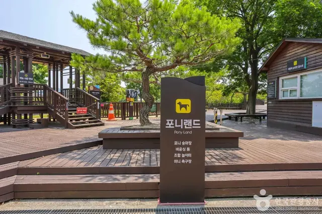 렛츠런파크 부산경남 사진