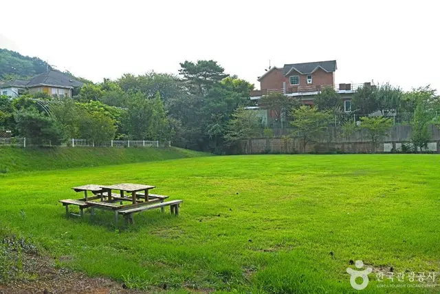 군산 킹콩놀이터 사진