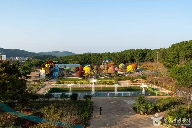 코리아플라워파크 사진