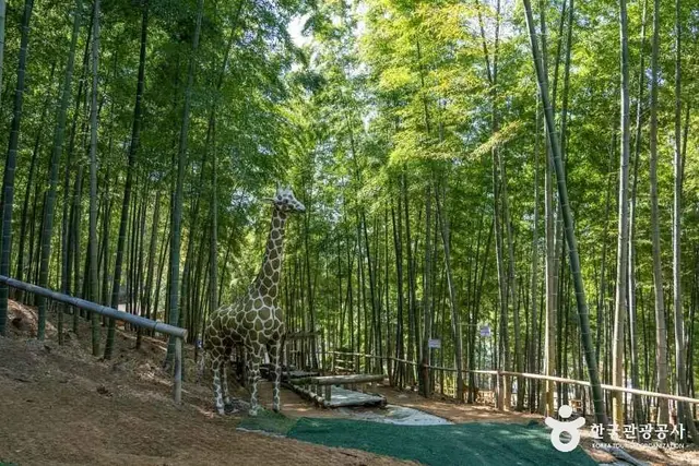 거제맹종죽테마공원 사진