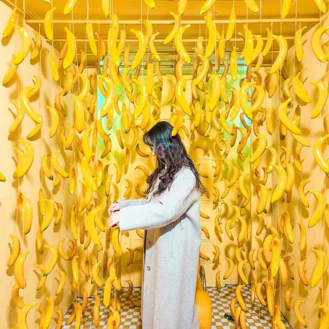 제주홀릭뮤지엄 사진